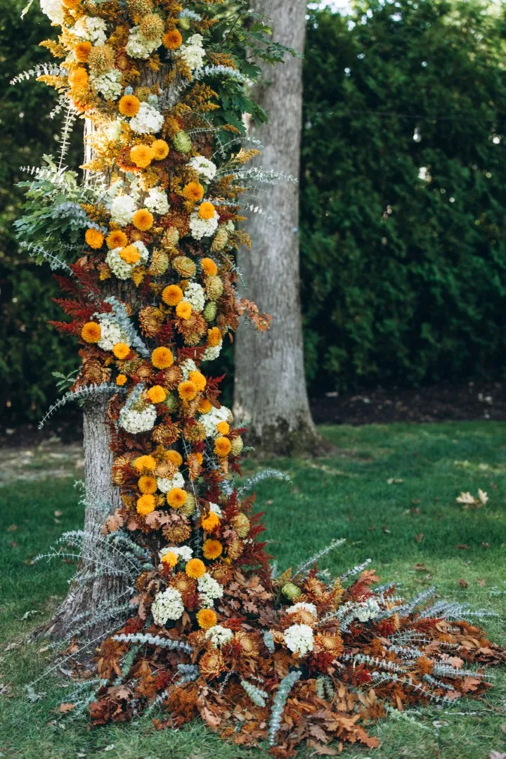 Marigold - Fall Inspired Baptism