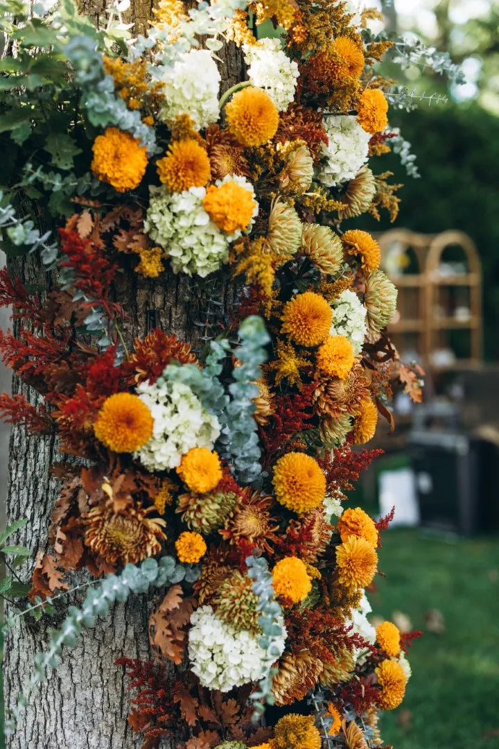 Marigold - Fall Inspired Baptism