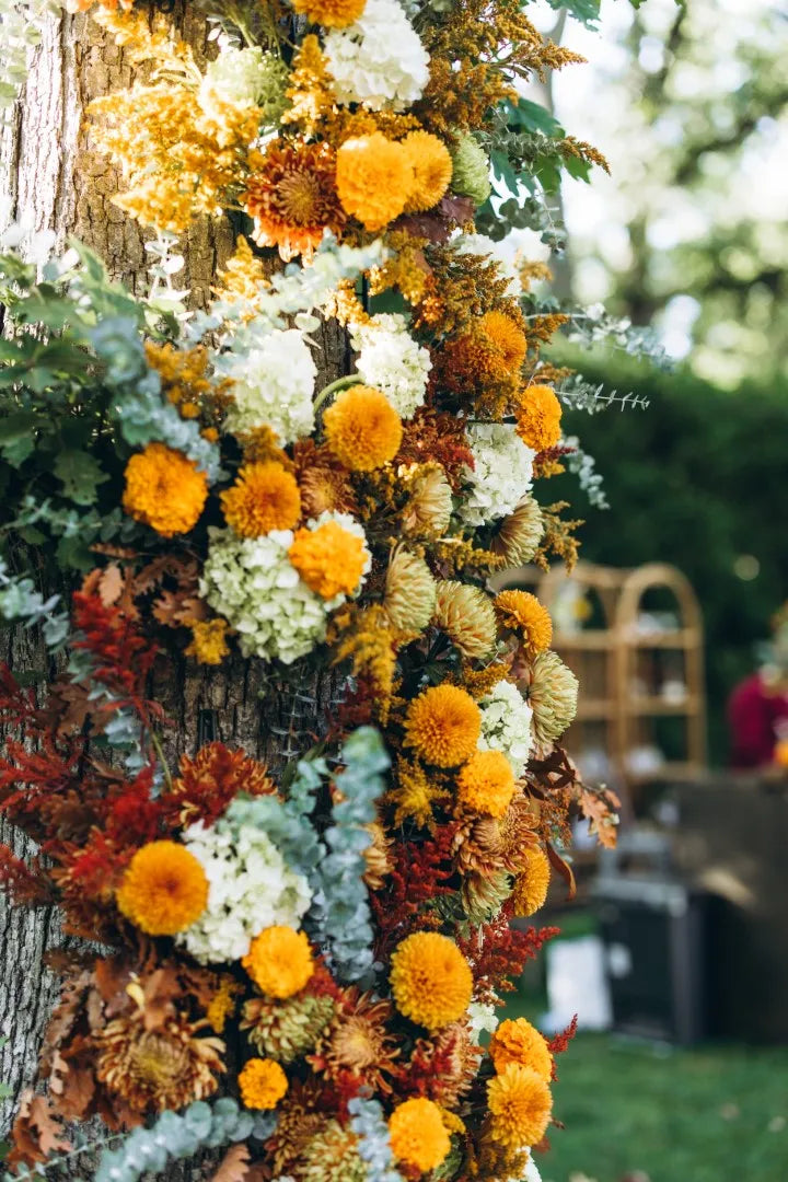 Marigold - Fall Inspired Baptism