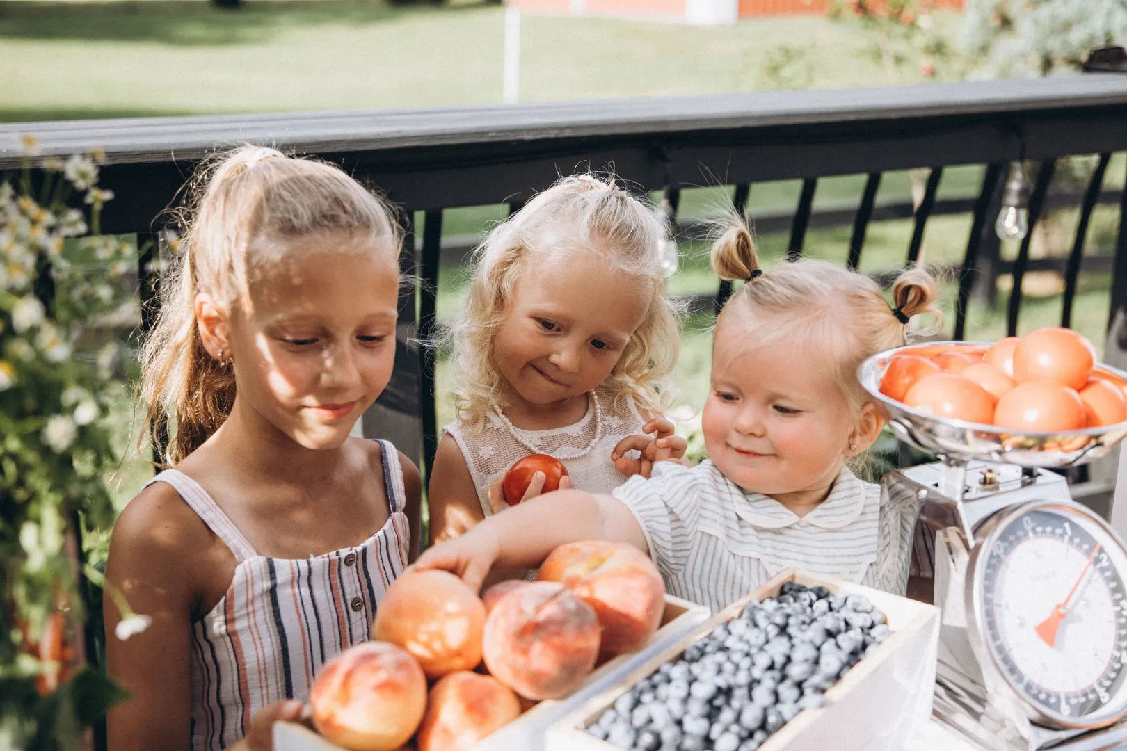 Farmer’s Market Birthday Celebration