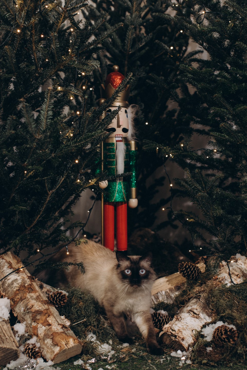 Nutcracker Christmas