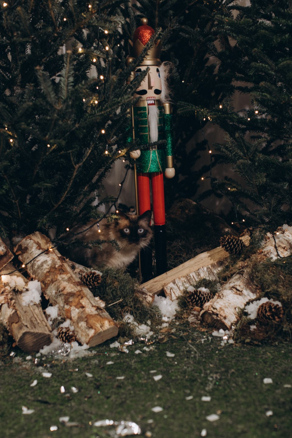 Nutcracker Christmas